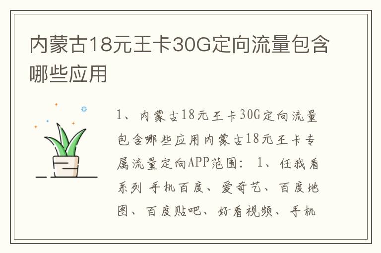 内蒙古18元王卡30G定向流量包含哪些应用