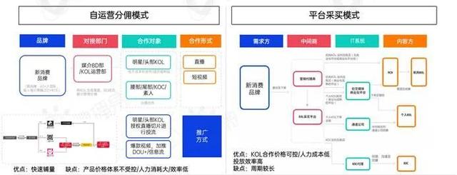 新消费品牌KOL营销的六大成功定律