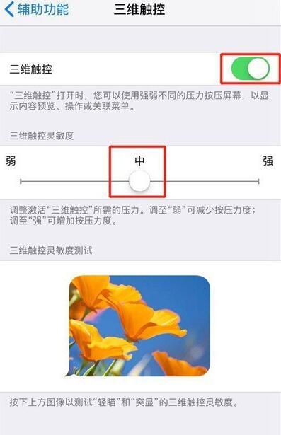 如何在iPhone  XS系列苹果手机中开启3D  Touch功能？