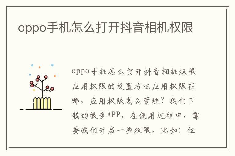 oppo手机怎么打开抖音相机权限