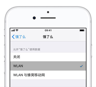 iPhone  XS  连着 Wi-Fi  偷跑流量怎么办？