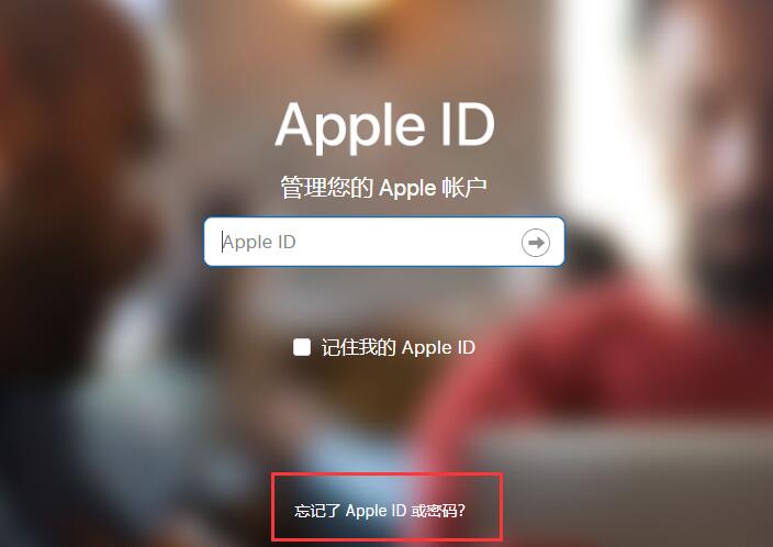 在iPhone XS上登录Apple ID时发现自己忘记了密码怎么办