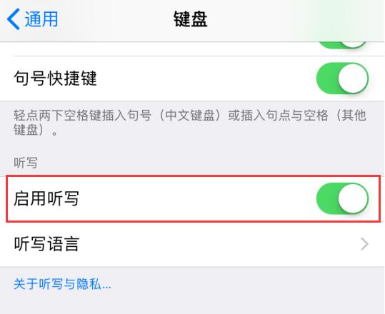 iPhone  XS  如何开启和使用听写功能