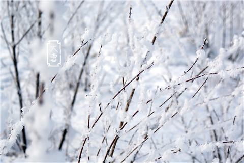 2017大雪节气朋友圈微信说说 大雪节气朋友圈说说图片