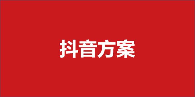 307抖音营销策划方案（34份）