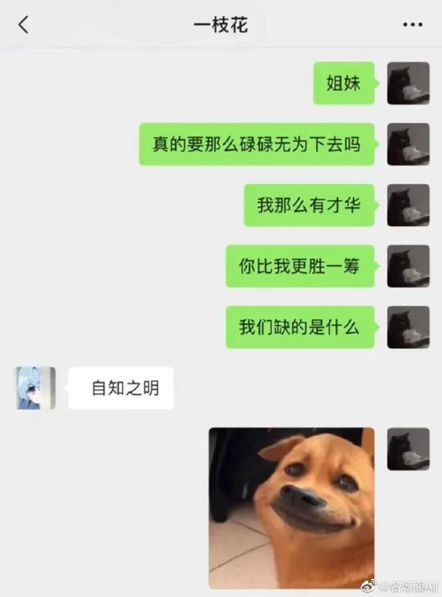 守时的狗子有多可怕