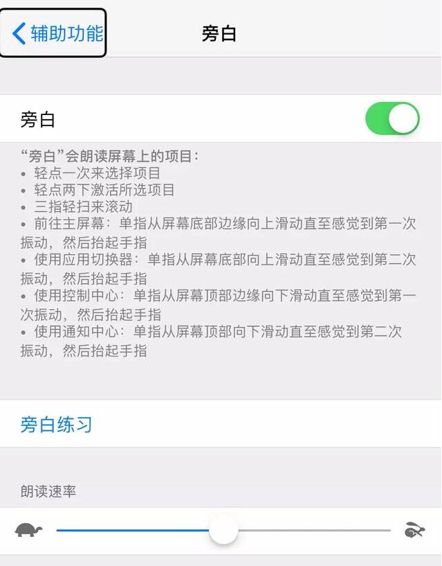 iPhone  “旁白”功能如何使用？不得不了解的“冷门”功能