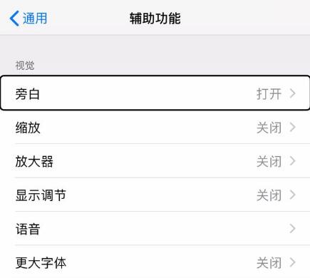 iPhone  “旁白”功能如何使用？不得不了解的“冷门”功能