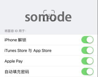 ios14面部识别不出原因详细介绍