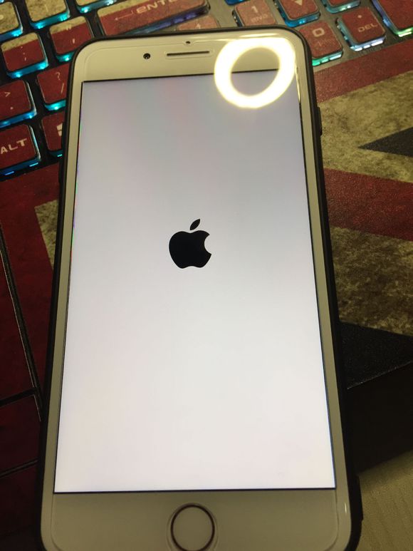 苹果iPhone手机白苹果，关不了机怎么办？