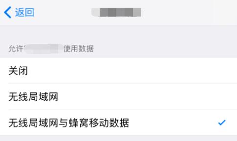 iPhone  XS  如何禁止应用联网，无法找到设置选项是什么原因？