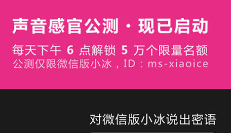 微信小冰语音感官怎么开启 微信小冰怎么唱歌