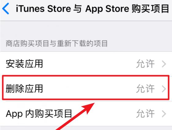 iOS  12 如何禁止删除已下载的应用？