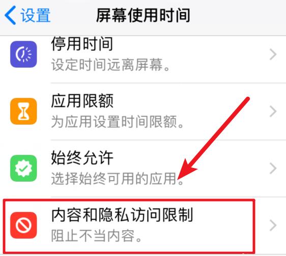 iOS  12 如何禁止删除已下载的应用？