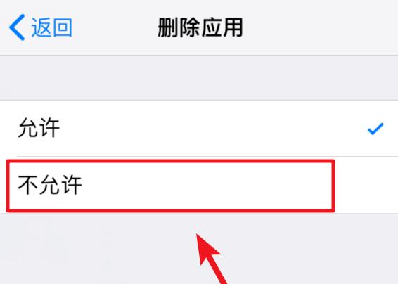 iOS  12 如何禁止删除已下载的应用？