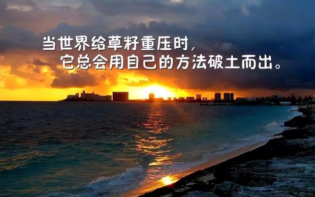 小白想要获得精准意向用户，这4大抖音引流技巧需掌握