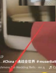 muse视频的详细使用流程介绍