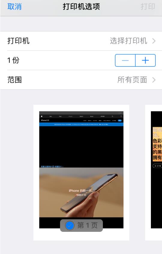 iPhone  小技巧：不借助第三方插件将网页转存为 PDF  文件