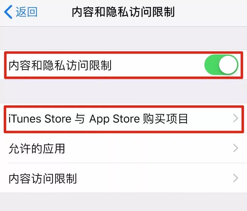 iPhone  XR  如何防止误删除应用