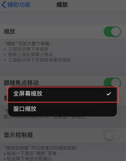 小技巧：利用“缩放”功能调整 iPhone  屏幕亮度