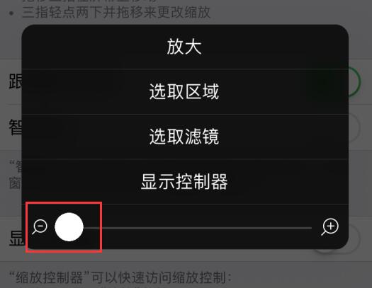 小技巧：利用“缩放”功能调整 iPhone  屏幕亮度