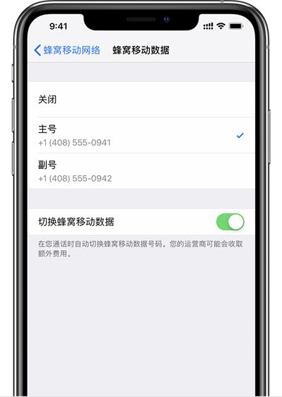 为什么 iPhone  XS  Max  插入两张电信卡后，副卡会显示无服务？