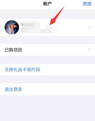 iPhone  XR  打开或登陆 App  Store  时显示为英文怎么办？