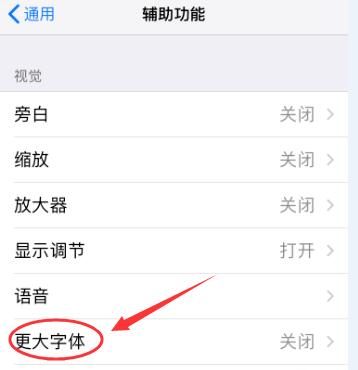 iPhone  XR  如何放大图标和文字？