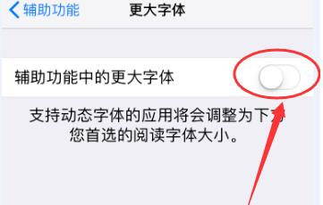 iPhone  XR  如何放大图标和文字？