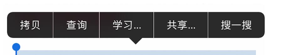 iPhone  选择文本时出现的“学习”选项有什么用？