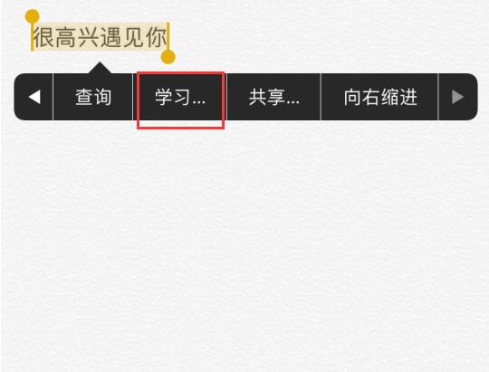 iPhone  选择文本时出现的“学习”选项有什么用？