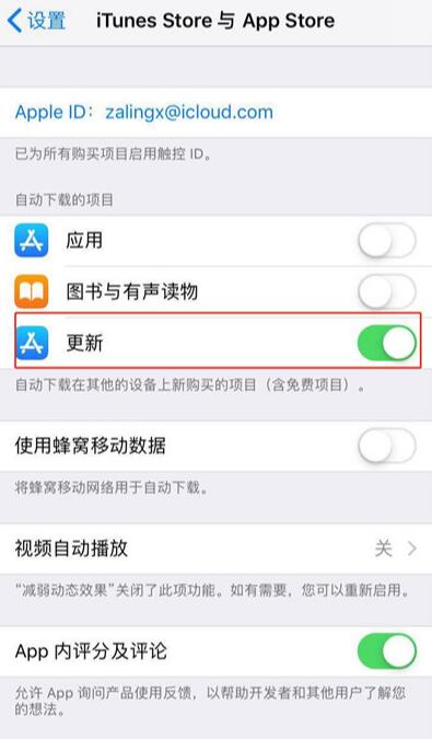 iPhone  XS  Max  如何关闭软件自动更新？