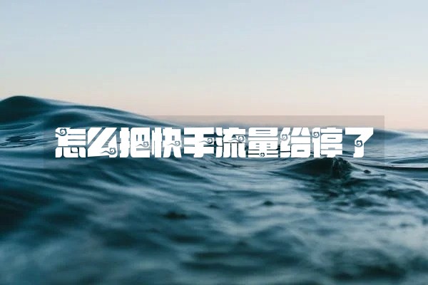 怎么把快手流量给停了