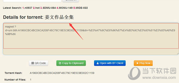 种子资源网站界面