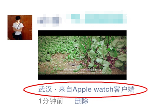 微信小尾巴显示apple watch方法 更改微信客户端显示教程