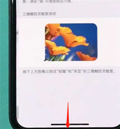 iPhone  XR手机如何开启半屏模式？