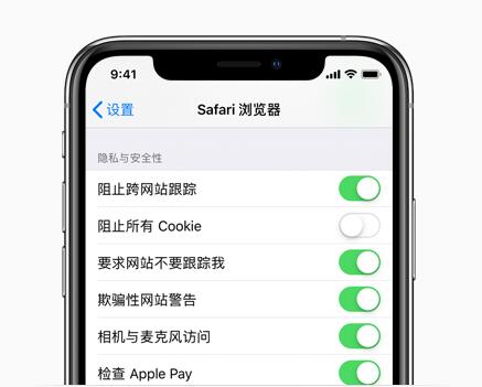 了解如何管理 Safari 浏览器中的隐私与安全设置