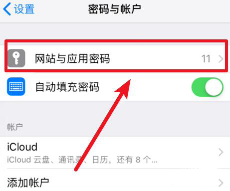 iOS  12 如何查看和管理 Safari  浏览器中已保存的密码？