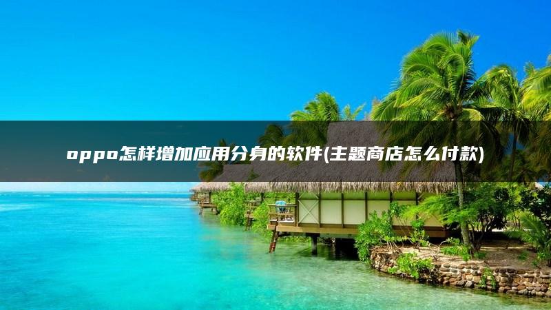 oppo怎样增加应用分身的软件(主题商店怎么付款)