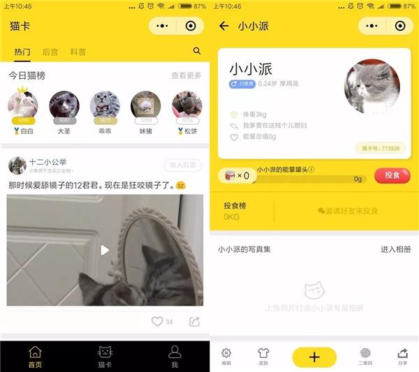 几款“吸猫”微信小程序：人猫交流器亮了