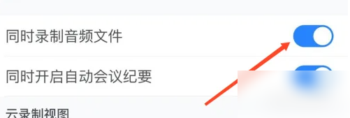 腾讯会议同时录制音频文件设置在哪打开？腾讯会议同时录制音频文件设置的打开方法截图