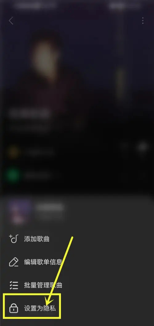 汽水音乐怎么设置歌单仅自己可见？汽水音乐设置歌单仅自己可见的方法截图