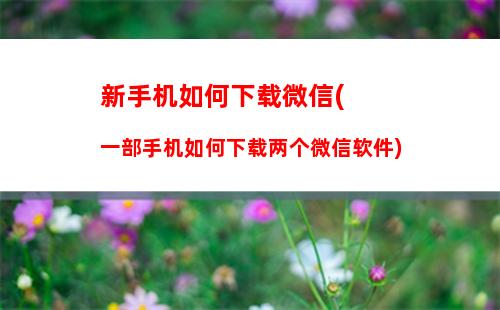 新手机如何下载微信(一部手机如何下载两个微信软件)