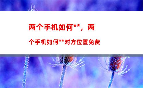 如何让微信显示手机号码(如何让微信视频有美颜效果)