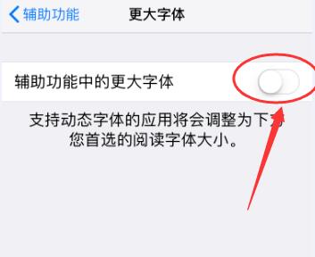 给长辈买了新 iPhone？别忘了告诉他们这些实用功能