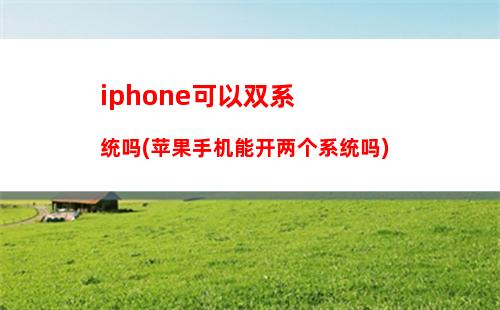 iphone安装微信分身(苹果手机微信分身要下载什么软件)