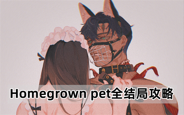 Homegrown pet全结局攻略-家养宠物所有结局配方合成大全