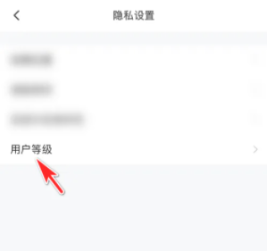 皮皮陪玩APP怎么显示徽章 亮出你的人气等级