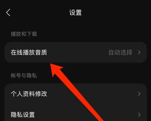 汽水音乐怎样设置在线播放音质？汽水音乐设置在线播放音质的方法截图