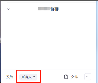 Zoom视频会议如何同时进行文字信息聊天？Zoom视频会议同时进行文字信息聊天的方法截图